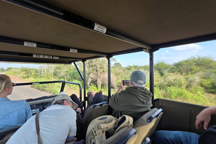 Kruger Park 1-day Safari from Maputo (Open-backed Safari Vehicle)