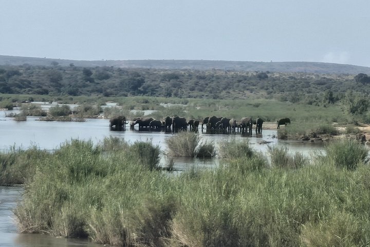 Kruger Park 1-day Safari from Maputo (Open-backed Safari Vehicle)