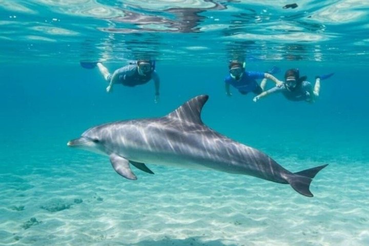 Sharm El Naga Full Day Snorkeling with Turtles & Lunch – Hurghada