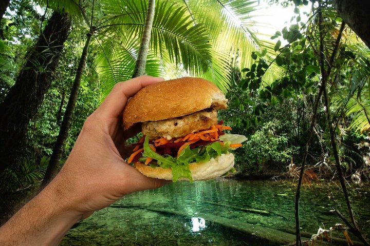 Cape Tribulation Day Tour from Cairns