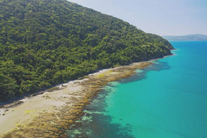 Cape Tribulation Day Tour from Cairns