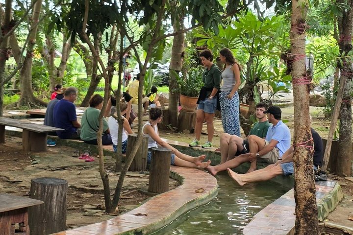 Chiang Rai to Chiang Mai Private Scenic Transfer Tour