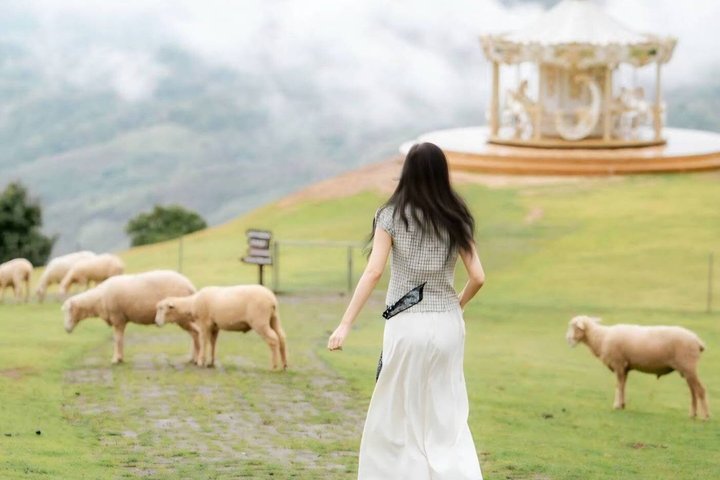 Chiang Rai to Chiang Mai Private Scenic Transfer Tour