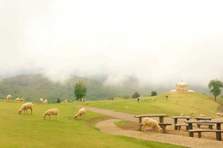 Chiang Rai to Chiang Mai Private Scenic Transfer Tour