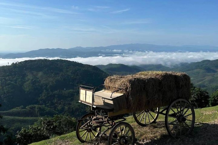 Chiang Rai to Chiang Mai Private Scenic Transfer Tour