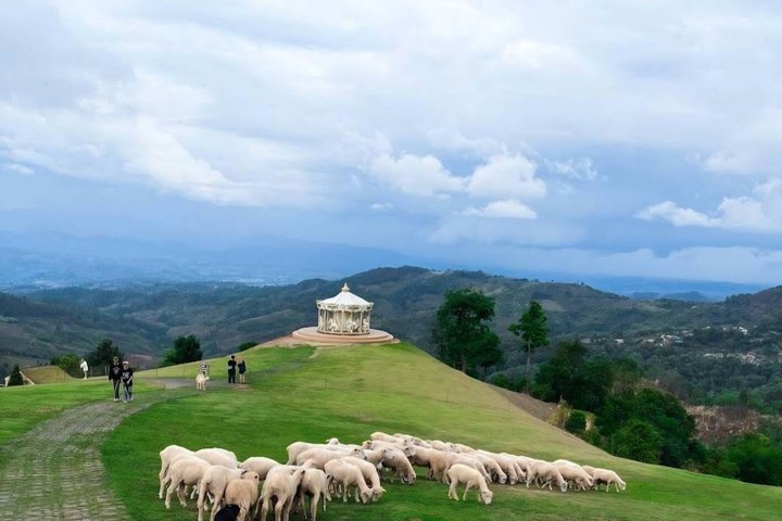 Chiang Rai to Chiang Mai Private Scenic Transfer Tour