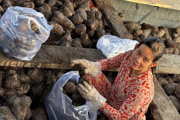 Can Tho: Floating Market, Canals & Rice Noodle Workshop