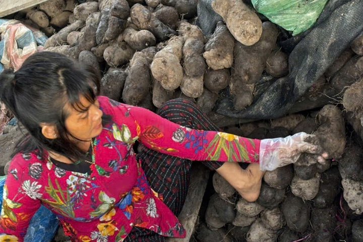 Can Tho: Floating Market, Canals & Rice Noodle Workshop