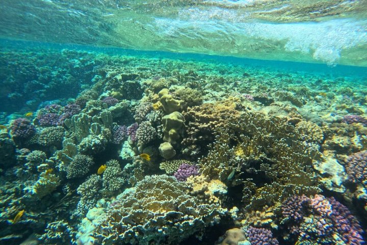 Sharm El Naga Full Day Snorkeling with Turtles & Lunch – Hurghada