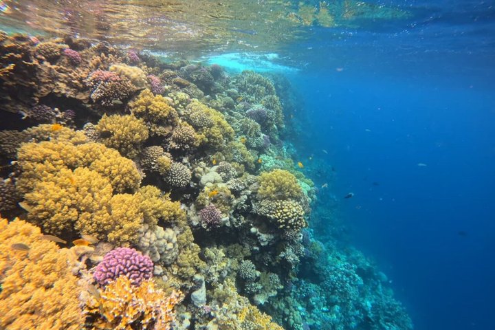 Sharm El Naga Full Day Snorkeling with Turtles & Lunch – Hurghada