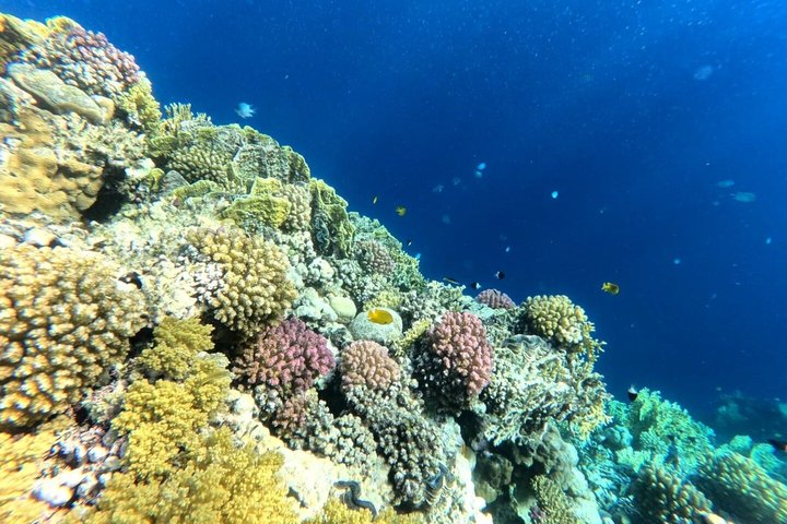 Sharm El Naga Full Day Snorkeling with Turtles & Lunch – Hurghada