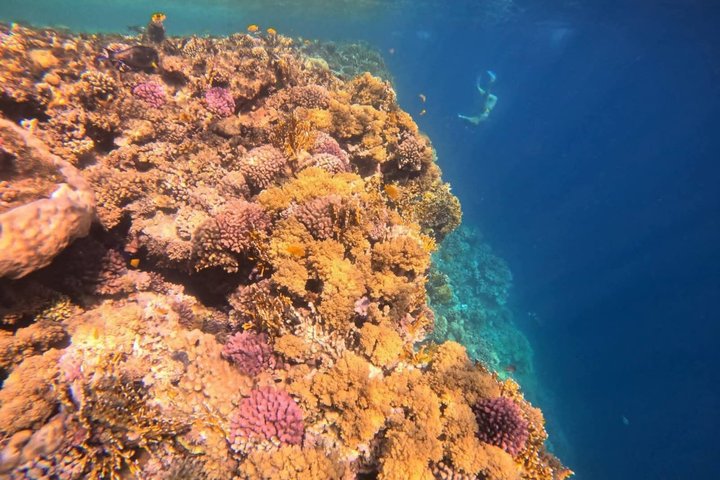 Sharm El Naga Full Day Snorkeling with Turtles & Lunch – Hurghada