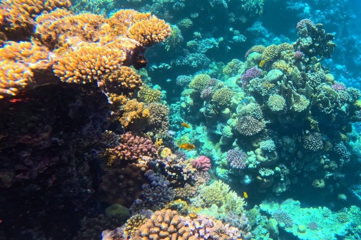 Sharm El Naga Full Day Snorkeling with Turtles & Lunch – Hurghada