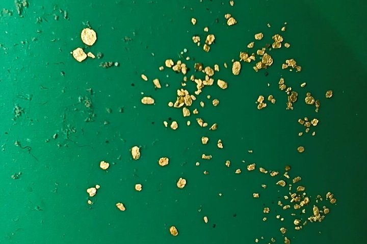 Maribor Authentic Gold Panning Adventure on the Drava River