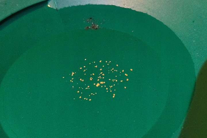 Maribor Authentic Gold Panning Adventure on the Drava River