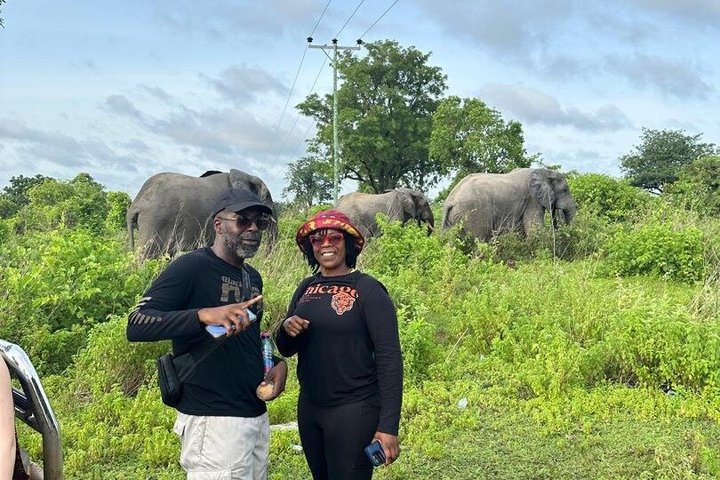 3 days (2 nights) Elephants safari private experience