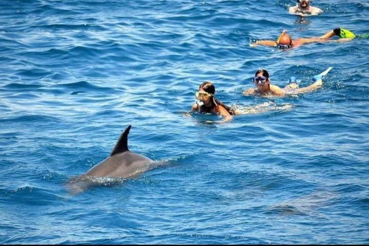 Sharm El Naga Full Day Snorkeling with Turtles & Lunch – Hurghada