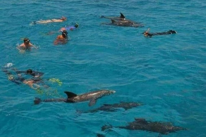 Sharm El Naga Full Day Snorkeling with Turtles & Lunch – Hurghada