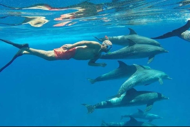 Sharm El Naga Full Day Snorkeling with Turtles & Lunch – Hurghada