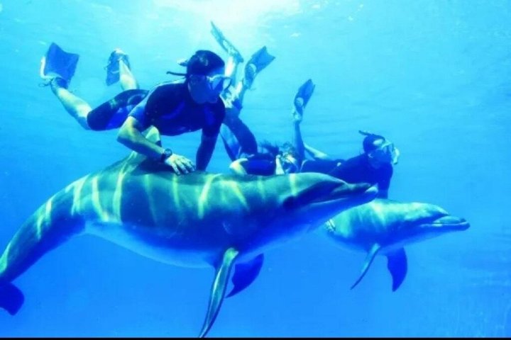 Sharm El Naga Full Day Snorkeling with Turtles & Lunch – Hurghada