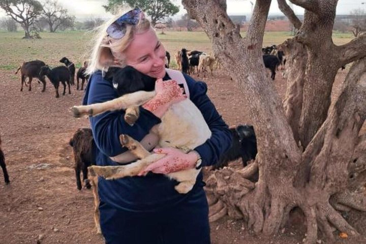 Morning Goats on Argan Trees & Souk El Had Agadir Tour