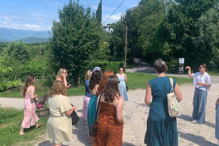 All inclusive Private Prosecco Hills Tour - 2 Wineries and Lunch.
