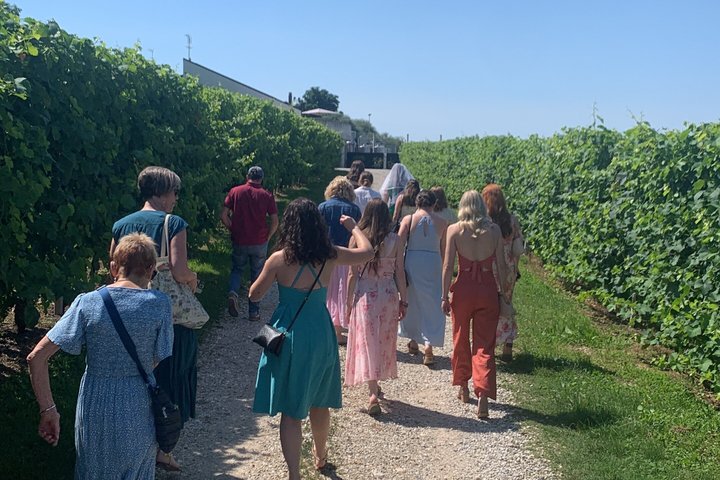 All inclusive Private Prosecco Hills Tour - 2 Wineries and Lunch.