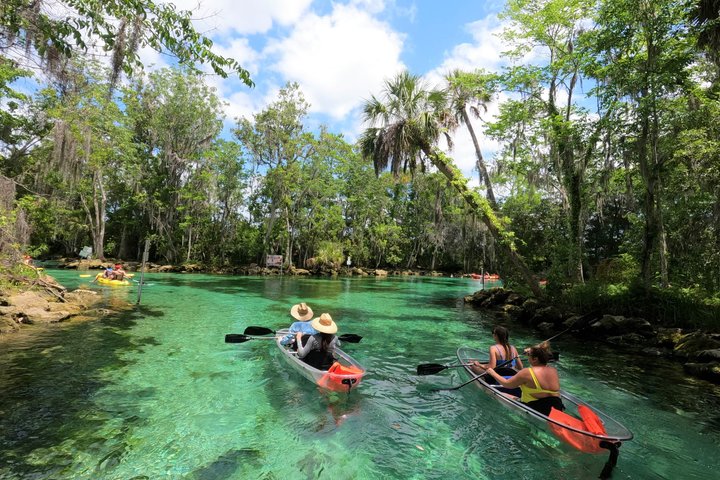 Clear Kayak Three Sisters Springs & Manatee Tour Of Crystal River