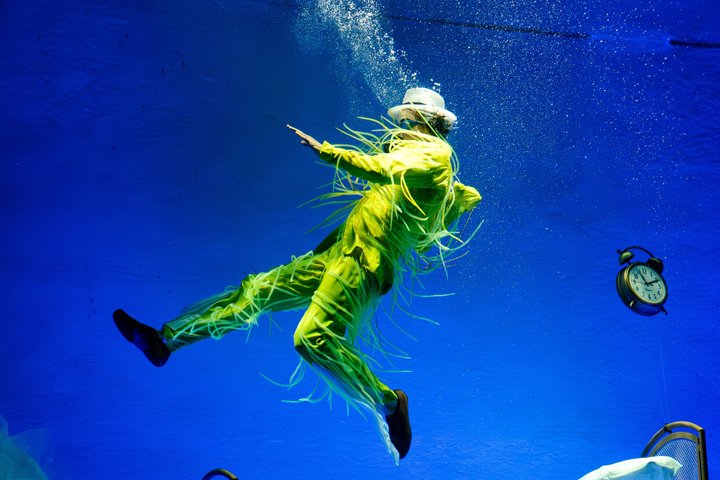Cirque du Soleil LUDÕ — Vallarta