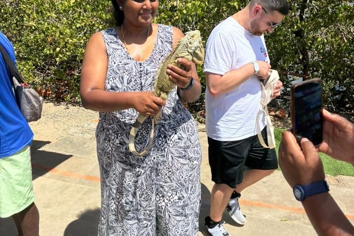 Shared St Maarten Island Tour Small Group Experience