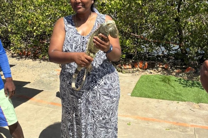Shared St Maarten Island Tour Small Group Experience