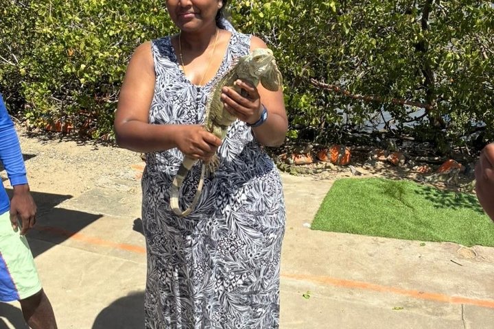 St Maarten Island Tour with Maho Beach and Marigot