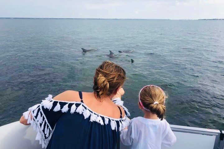 Frisky Mermaid Dolphin + Sightseeing Cruise in Pensacola Beach