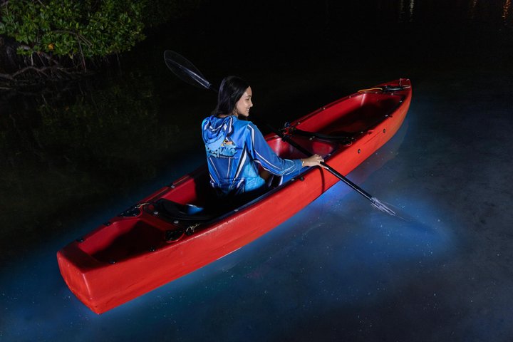 Unforgettable One Day Bioluminescent Kayak Adventure in Vieques