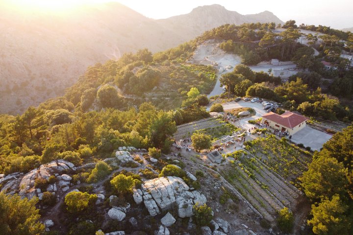 Classic Tour & Natural Wine Tasting (Private)