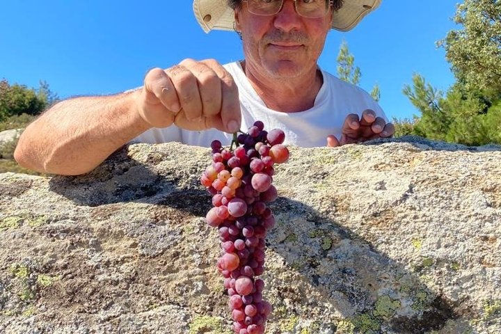 Classic Tour & Natural Wine Tasting (Private)