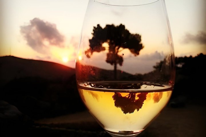 Classic Tour & Natural Wine Tasting (Private)