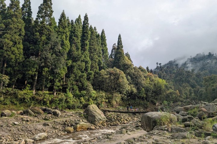 Sandakphu 6 Day Trek with Guide and Meals