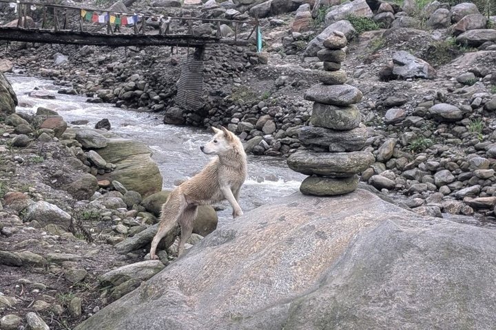 Sandakphu 6 Day Trek with Guide and Meals