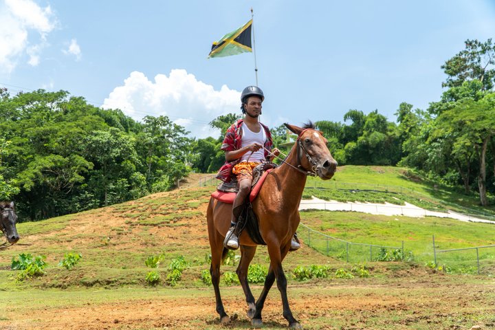 Bambuza ATV, Zipline and Horseback Adventure from Negril