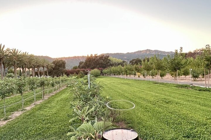 Luxury Private Napa Valley Wine Tour Napa and Sonoma