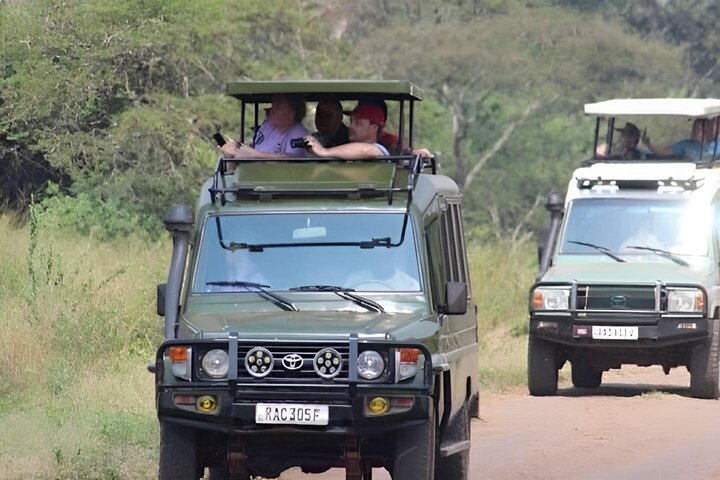 1 Day Akagera Wildlife Safari( Pick up and drop off))