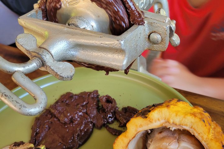 MINCA: Eco-Walk, Coffee Farm, Waterfall & Chocolate Experience!