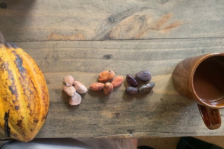 MINCA: Eco-Walk, Coffee Farm, Waterfall & Chocolate Experience!
