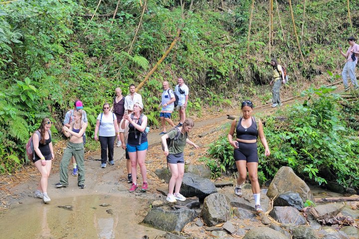 MINCA: Eco-Walk, Coffee Farm, Waterfall & Chocolate Experience!