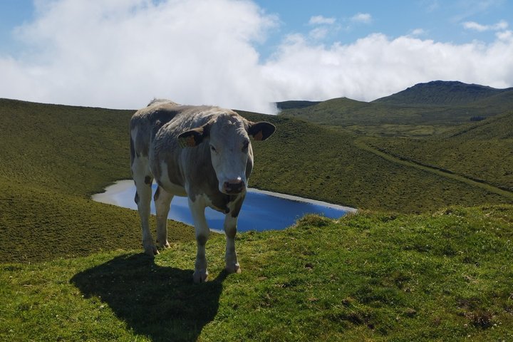 Pico Lakes and Highlands Tour Volcanic Lagoons Experience