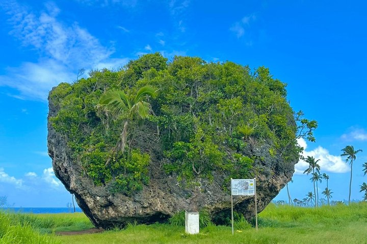 Tongatapu Highlights Tour from Royal Sites to Coastal Wonders