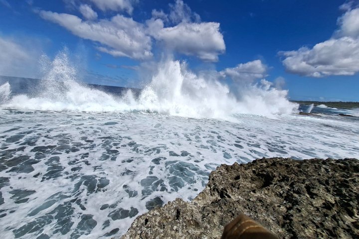 Tongatapu Highlights Tour from Royal Sites to Coastal Wonders