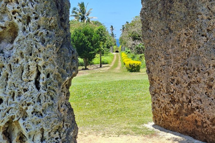 Tongatapu Highlights Tour from Royal Sites to Coastal Wonders