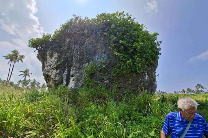Tongatapu Highlights Tour from Royal Sites to Coastal Wonders